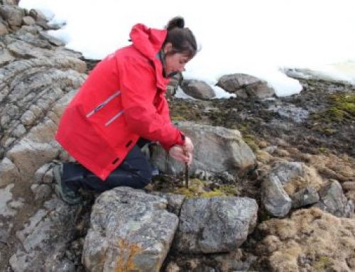 Estudiante DBVB investiga los cambios epigenéticos de una planta antártica frente al cambio climático
