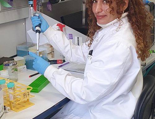 Estudiante del DBVB U Talca realiza pasantía en destacado laboratorio español en el que se descubrió cómo la hormona jasmonato ayuda a las plantas a protegerse del peligro.