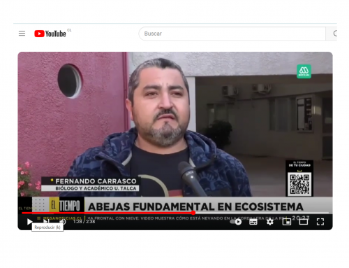 Dr. Fernando Carrasco se refiere a la situación de las abejas en Chile