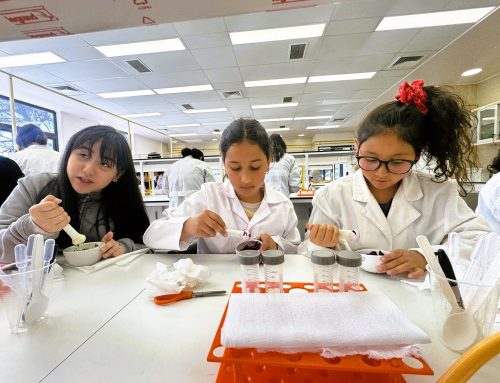 ¡El Festival de las Ciencias se vivió en la U Talca!