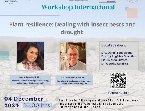 Workshop Internacional: «Plant resilience: Dealing with insect pests and drought»