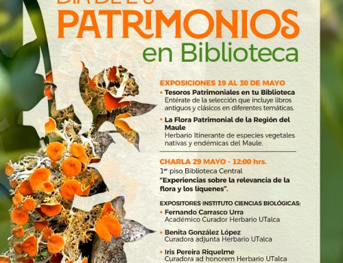 Muestra Herbario UTalca: “La Flora Patrimonial de la Región del Maule”