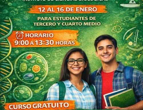 Curso de Verano “Vive la Experiencia”