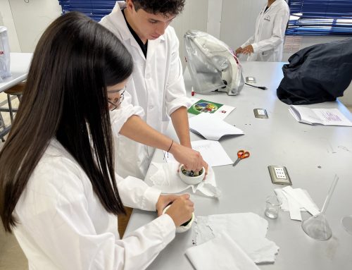 Curso de Verano “Vive la Experiencia”