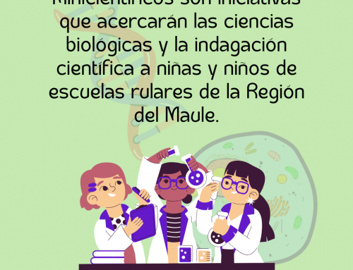 Adjudicación del fondo VINCULATE